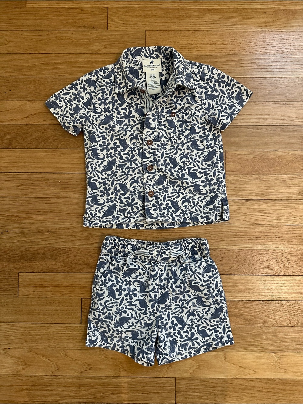 Boys Blue Hawaiian Shirt and Short Set with Dinosaur Print